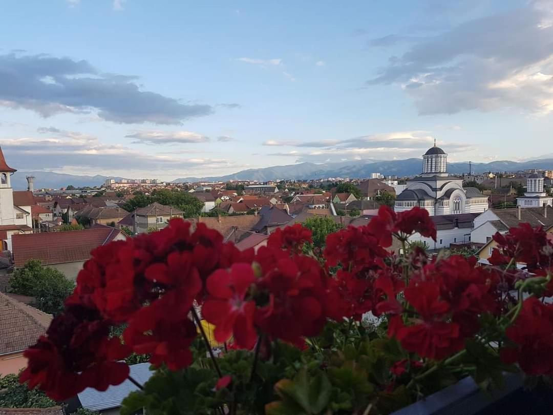 Sibiu Bach Penthouse Lejlighed Eksteriør billede